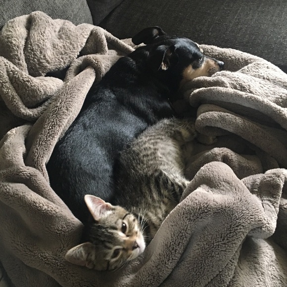 Meet your Posher, Tracy - Picture 6 of 6